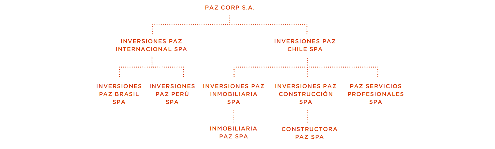 estructura societaria